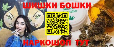 индика Беслан