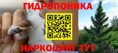 индика Беслан
