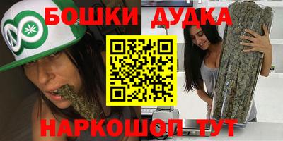 индика Беслан