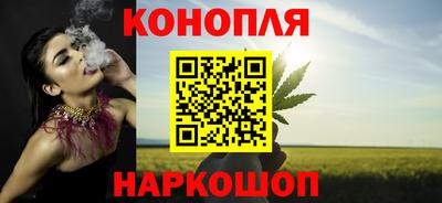индика Беслан