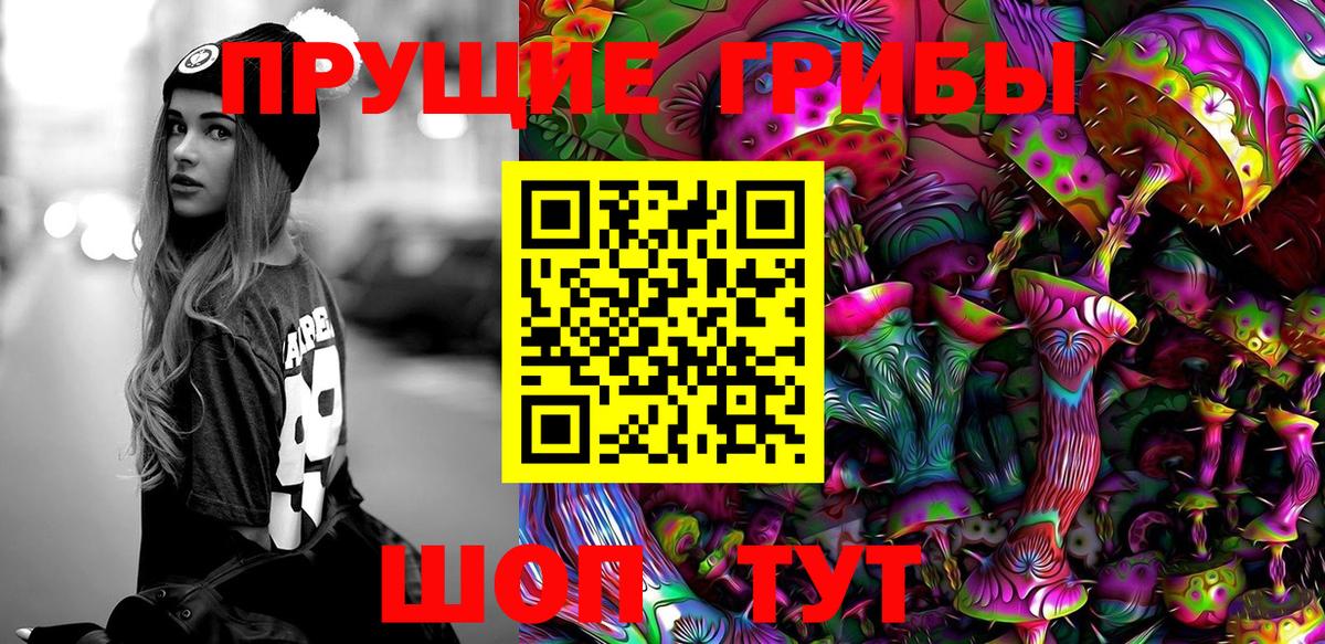 Псилоцибиновые грибы Psilocybe  Вход с VPN  Ейск 