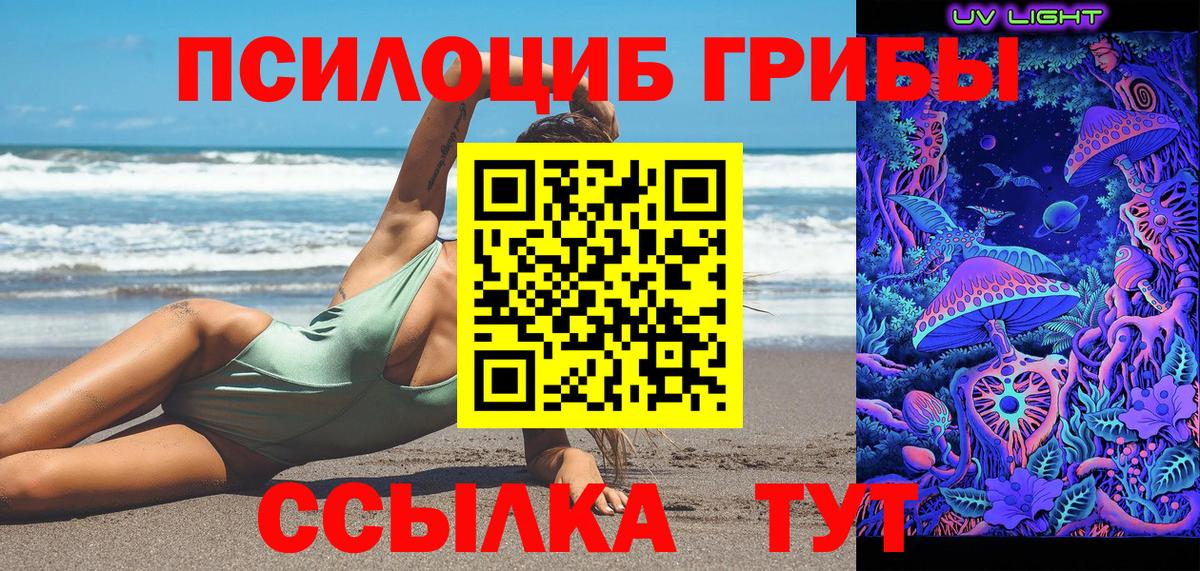 Галлюциногенные грибы Psilocybe Ейск